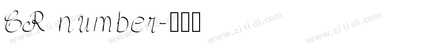 CR number字体转换